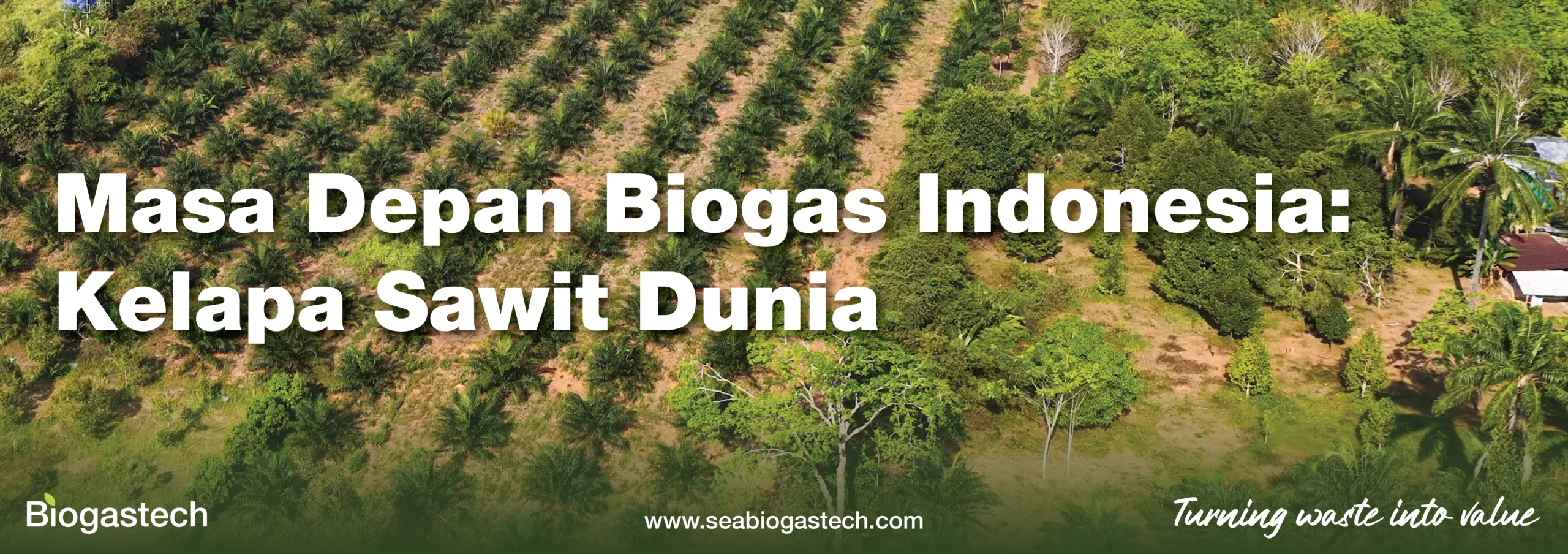 Masa Depan Biogas Indonesia: Kelapa Sawit Dunia
