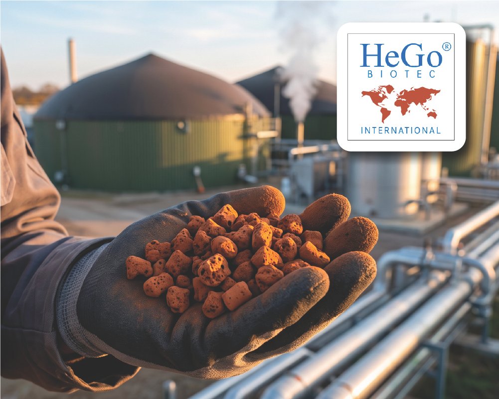 HeGo Biotec International GmbH German supplier of iron hydroxide-based adsorbents and environmental solutions, specializing in high-performance H₂S removal media for biogas and gas purification applications.